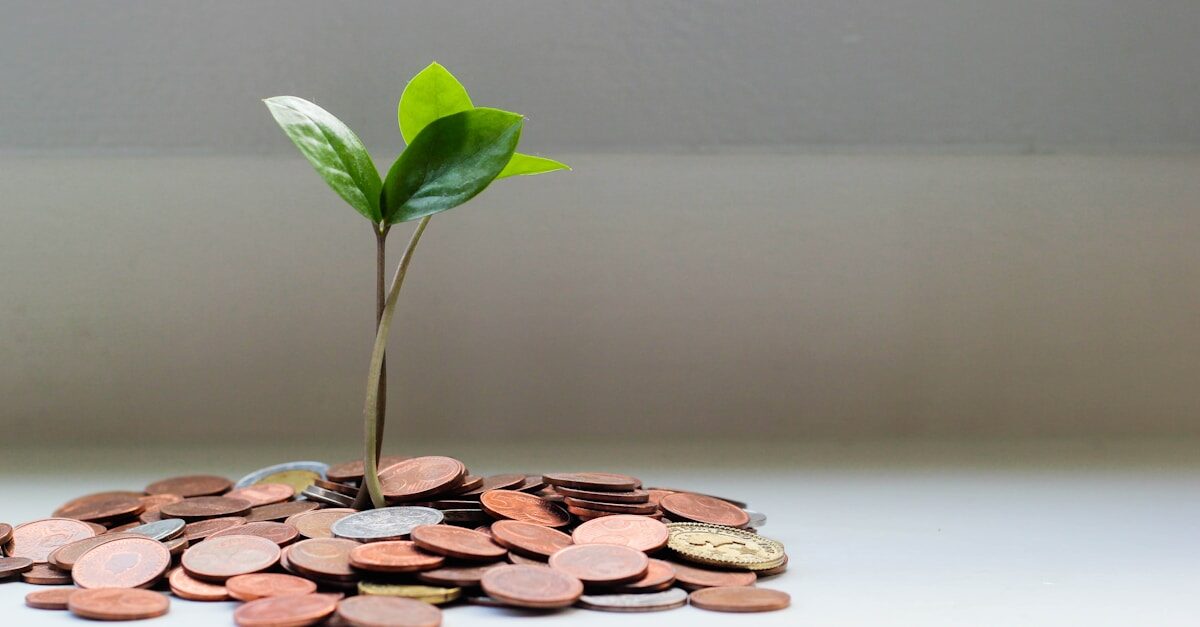 Como Economizar Dinheiro no México: 30+